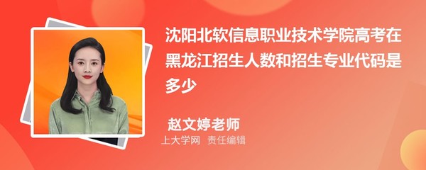 沈阳北软信息职业技术学院商务数据分析与应用专业分数线是多少?附最低分排名