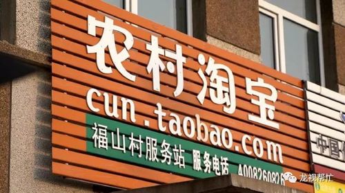 黑龙江魔豆芽信息技术总经理